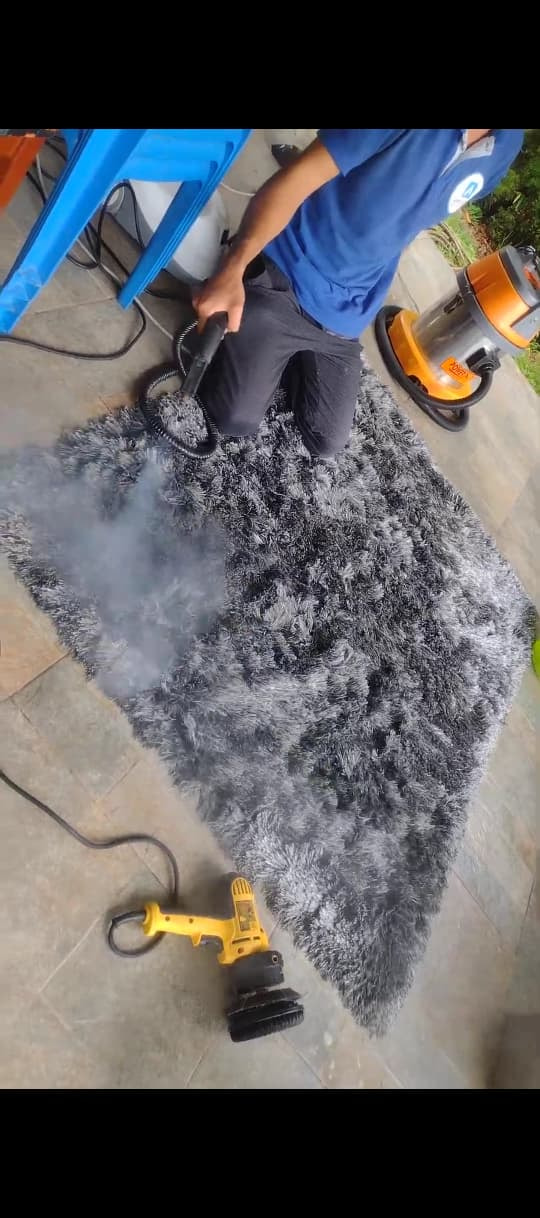 VAPOR EN ALFOMBRAS