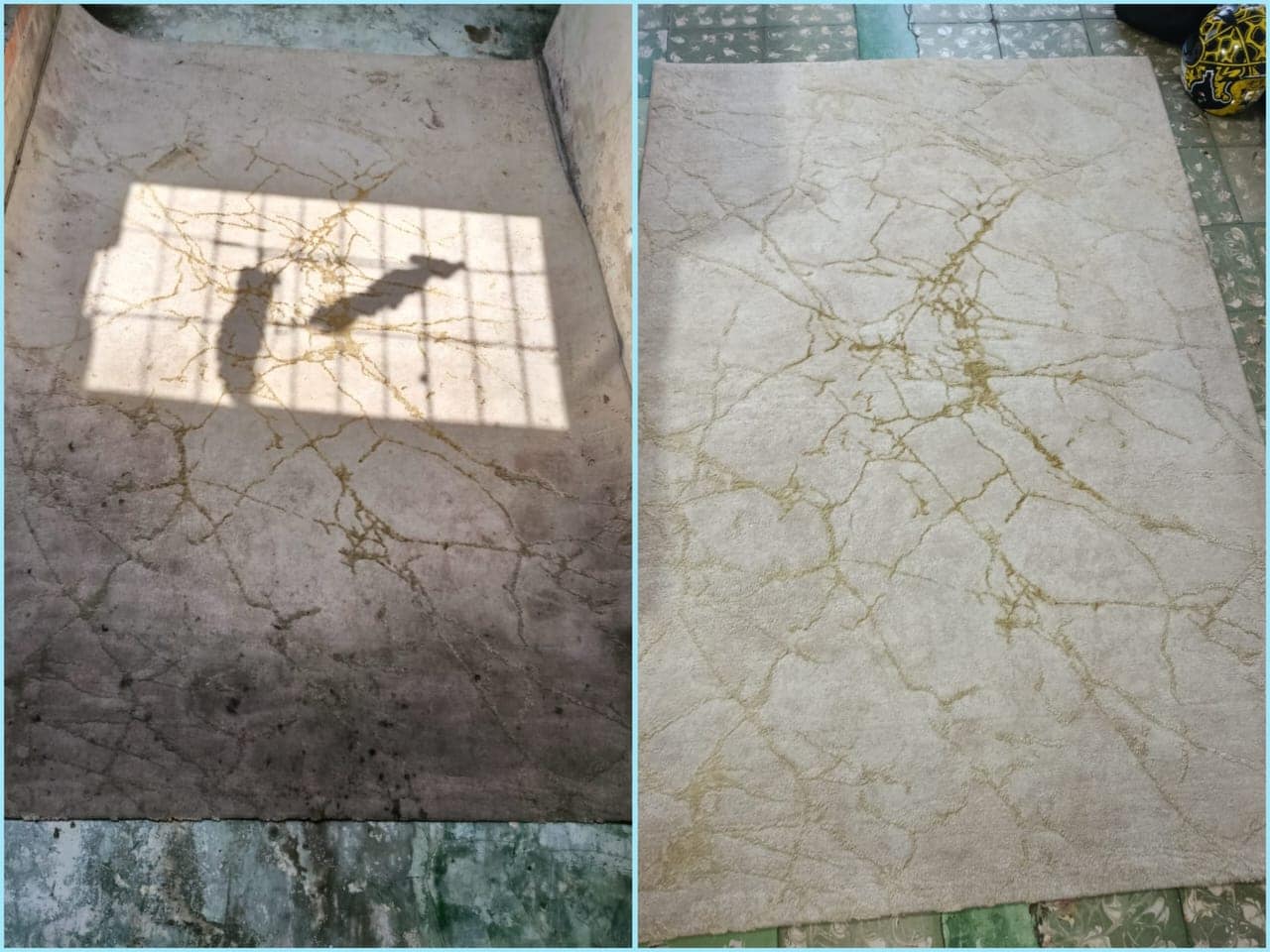 ANTES Y DESOUES DE LAVADO DE ALFOMBRA